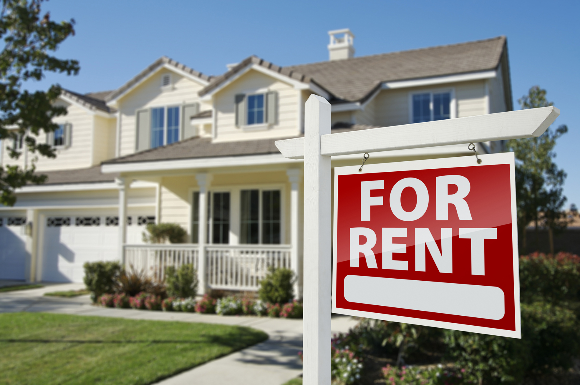 Rental Market Analysis: The State of the Market | PointCentral