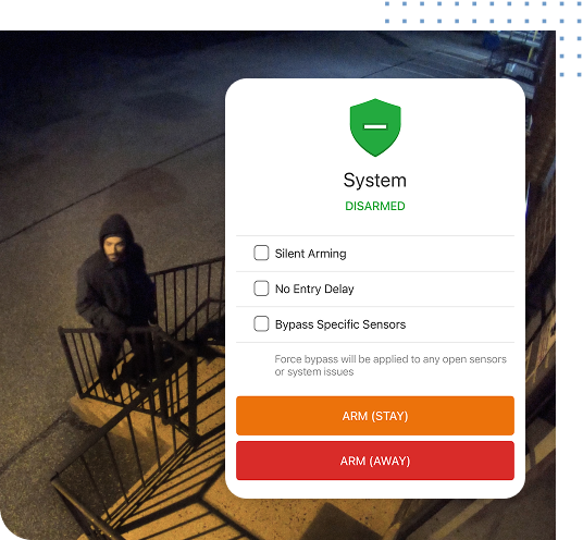 SnS_Intruder_detection_img